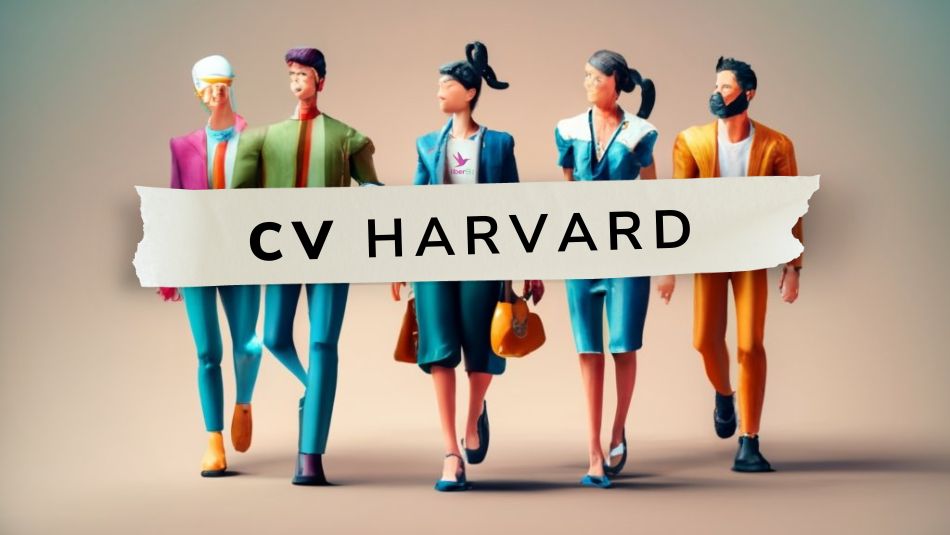 Cómo hacer un CV perfecto que destaque 2 El curriculum estilo Harvard